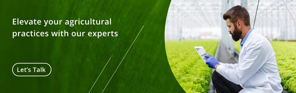 blockchain technology in agriculture