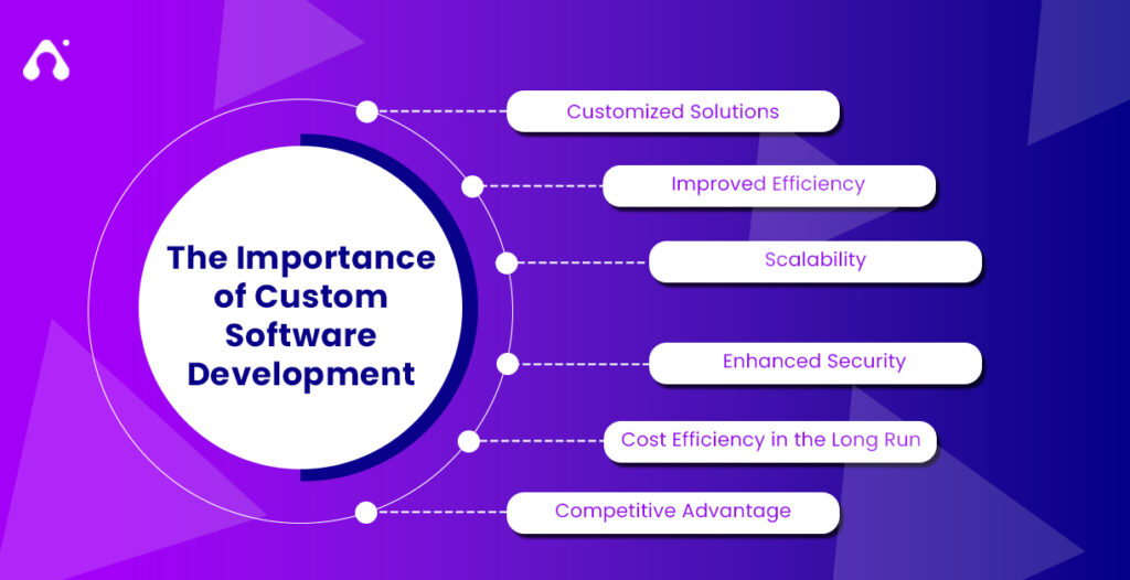 The Importance of Custom Software Development