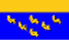 West Sussex Flag